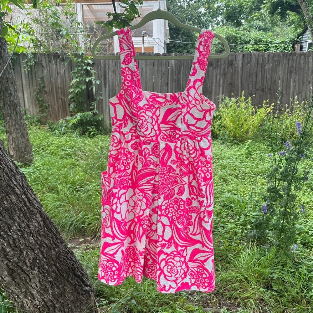 Anthropologie Vanessa Virginia Garden Party Dress size 0 (US)